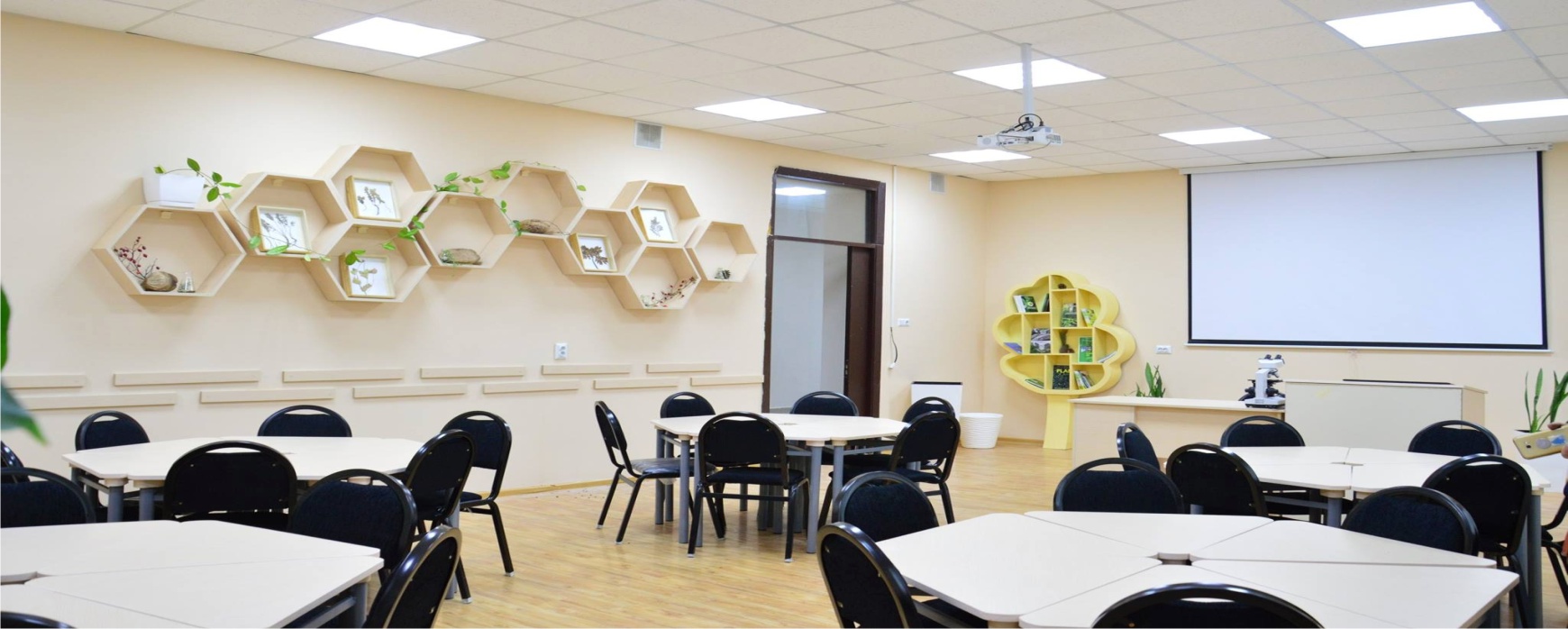 Batumi Shota Rustaveli State University 4