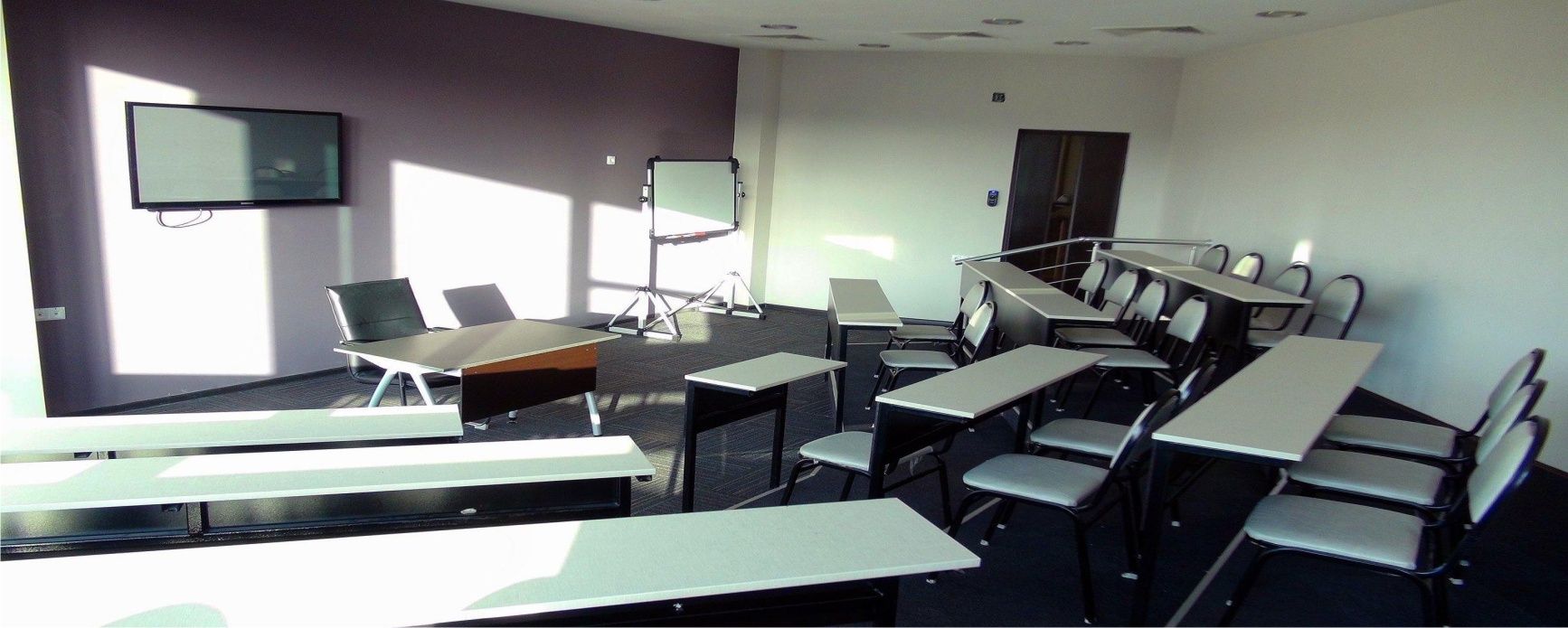 Grigol Robakidze University 07