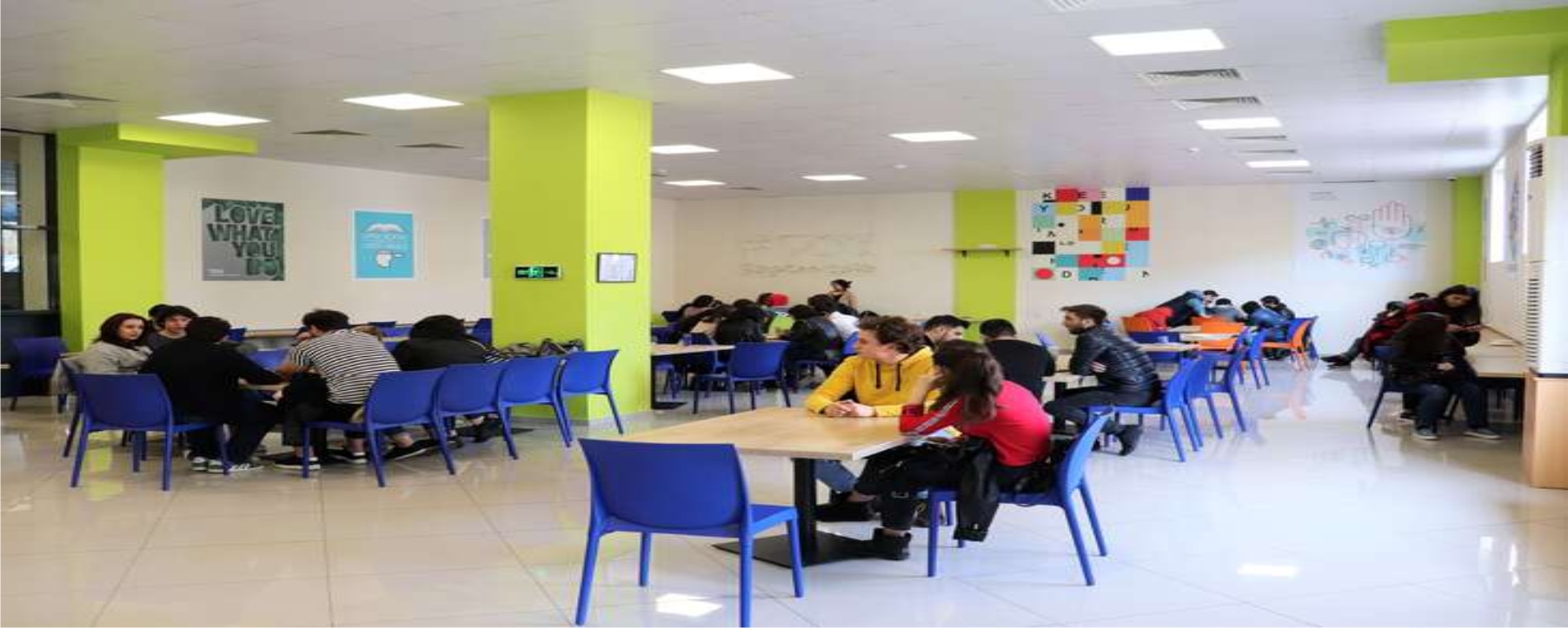 Tbilisi Open University (TOU) NEW 1